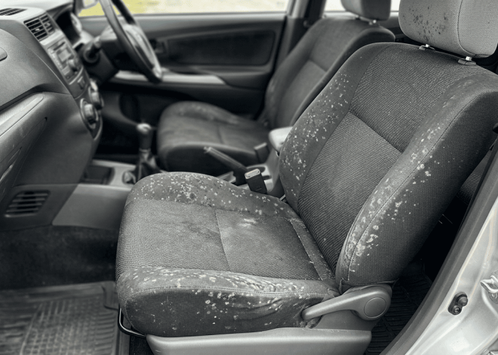 Jangan sampai Bau Apek! Ini Cara Merawat Jok Mobil agar Bebas Jamur