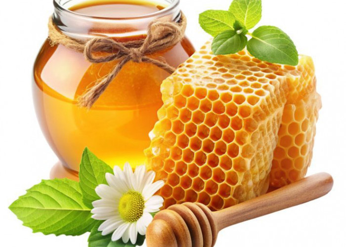 Jangan Sampai Tertipu! Ini 5 Cara Mudah Membedakan Madu Asli dan Madu Sirupan Biar Gak Rugi Bandar