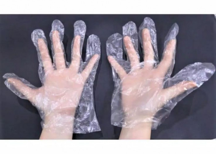 Higienis atau Malah Beracun? Fakta Mengejutkan di Balik Sarung Tangan Plastik