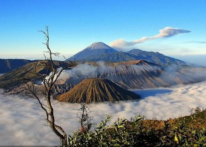 Gunung Bromo Kembali Dibuka, Wisatawan Bisa Berkunjung Mulai 20 Agustus 2026