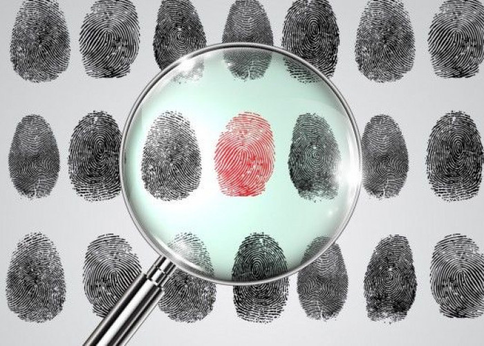 Sidik Jari & Suara, Identitas Alami yang Tidak Bisa Ditiru