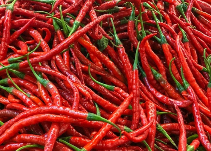 Lonjakan Harga Cabai Merah Keriting Bikin Resah, Segini Harganya per Kilogram