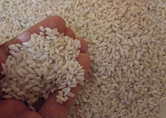 Bulog Pastikan Pasokan Beras Terjaga Hingga Bulan Ramadan, Stok Lampung Capai 168 Ribu Ton