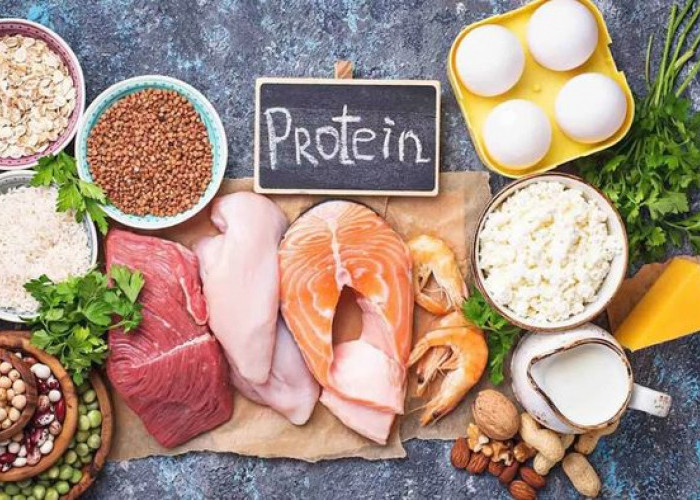 Pentingnya Protein Dalam Pembentukan Massa Otot