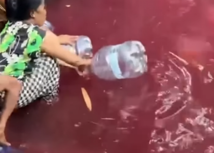  Heboh Air Kolam Berubah Merah di Bogor, Warga Berdatangan ke Lokasi