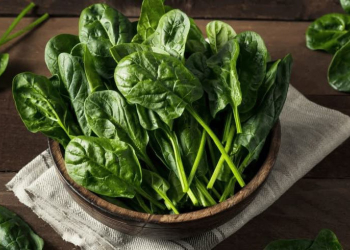 Jangan Asal Masak! Ini Fakta Penting Soal Bayam dan Cara Mengolahnya