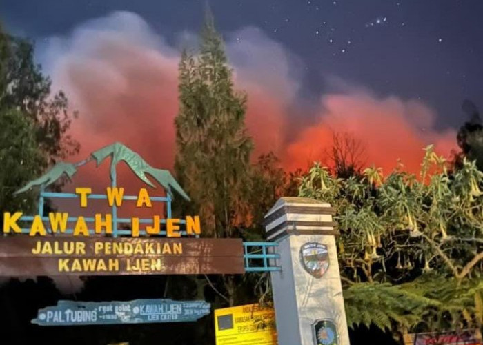 Kebakaran Hutan Meluas hingga Kawah Ijen, Jalur Pendakian Terancam Ditutup Sementara