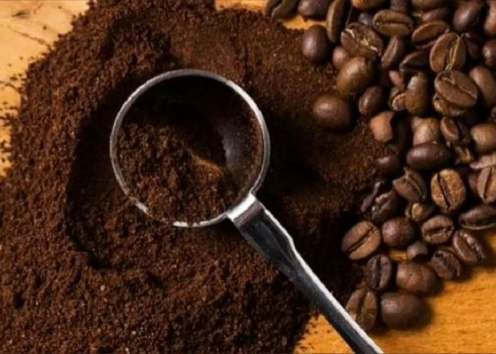 Pencinta Kopi Wajib Tahu! Ini 5 Trik Simpan Bubuk Kopi Lampung agar Aromanya Tetap Segar 
