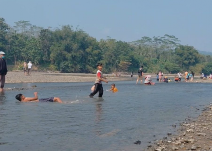 Surutnya Sungai Serayu Ubah Wadas Cinta Carik Srowot Jadi Wisata Dadakan, Warga Raup Rezeki