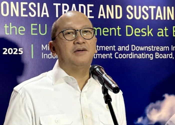 Freeport Setuju Lepas 12 Persen Saham Gratis ke Indonesia