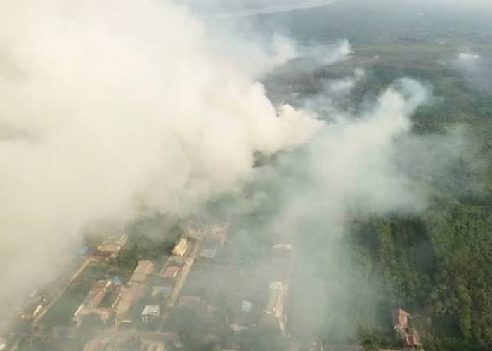 Kabut Asap Selimuti Timor Leste, Matahari Tak Terlihat