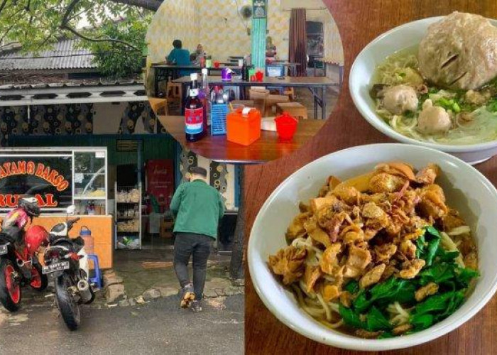 Penggemar Bakso Merapat, 3 Bakso Rudal Enak di Lampung, Dijamin Bikin Kenyang dan Ketagihan 