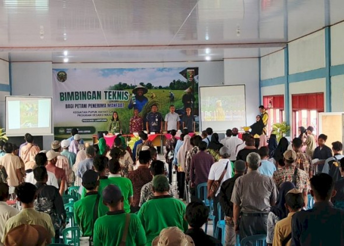 Pemprov Lampung Perluas Program PHC, Dorong Petani Mandiri dan Produktivitas Pertanian Meningkat