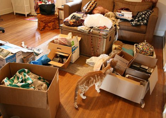  Decluttering Jadi Tren Menata Rumah, Ini Manfaat dan Cara Memulainya