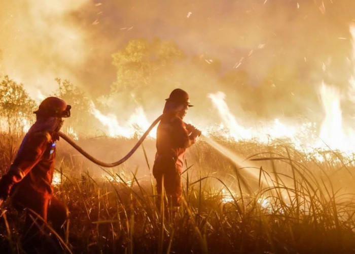 Bukan El Nino, Polri Sebut Mayoritas Karhutla Terjadi karena Sengaja Dibakar