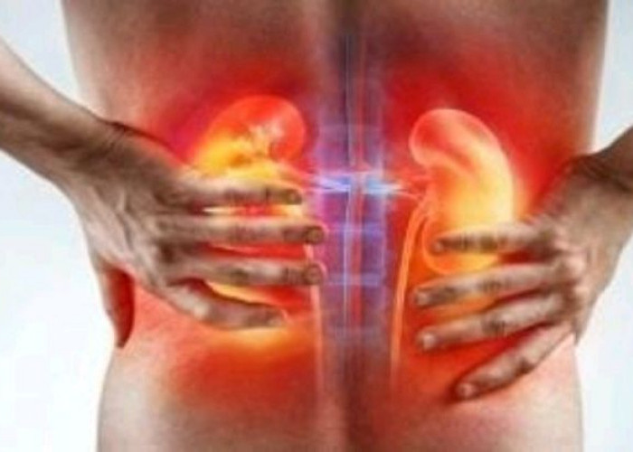 Investasi Masa Depan: Langkah Penting Menjaga Ginjal Tetap Sehat dan Berfungsi Optimal