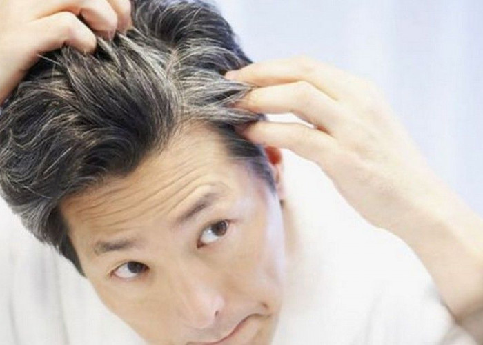 Benarkah Mencabut Uban Bisa Membuat Rambut Putih Tumbuh Lebih Banyak?