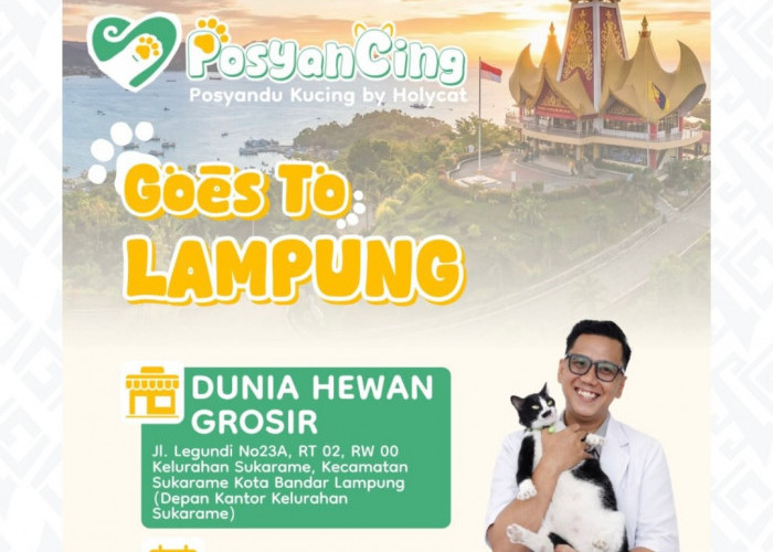 POSYANCING by Holycat Hadir di Lampung, Layanan Kesehatan Kucing Gratis Digelar 25 April