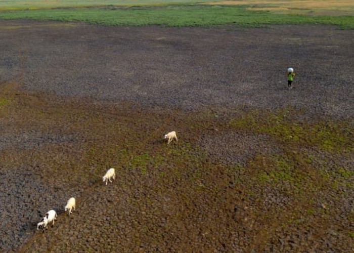 Waduk Cipancuh Mengering di Tengah Kemarau Panjang, Irigasi Sawah Terancam