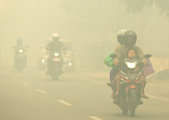 Asap Karhutla Masuk Rumah, Ini Cara Menjaga Kesehatan Keluarga