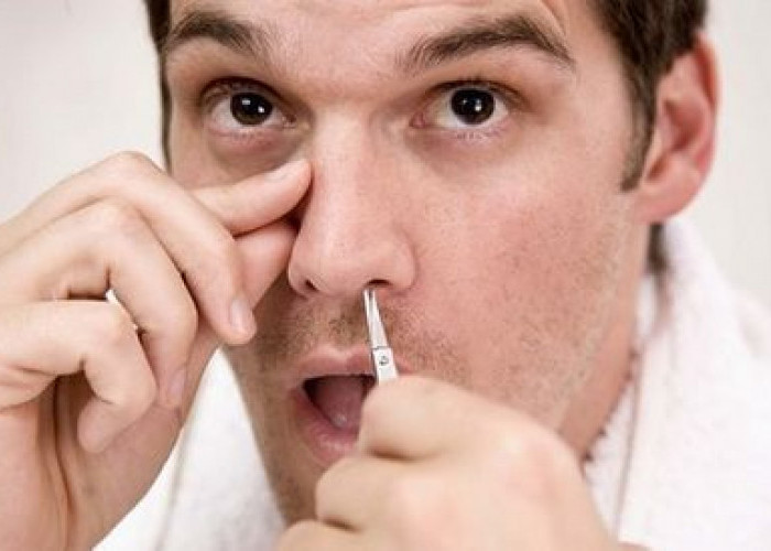 Bisa Picu Infeksi Otak! Ini 5 Bahaya Mencabut Bulu Hidung Secara Paksa yang Wajib Sobat Radar Ketahui