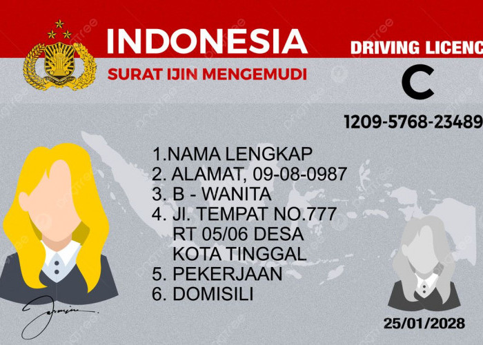 Langkah demi Langkah Cara Mengurus SIM Baru Tanpa Ribet 