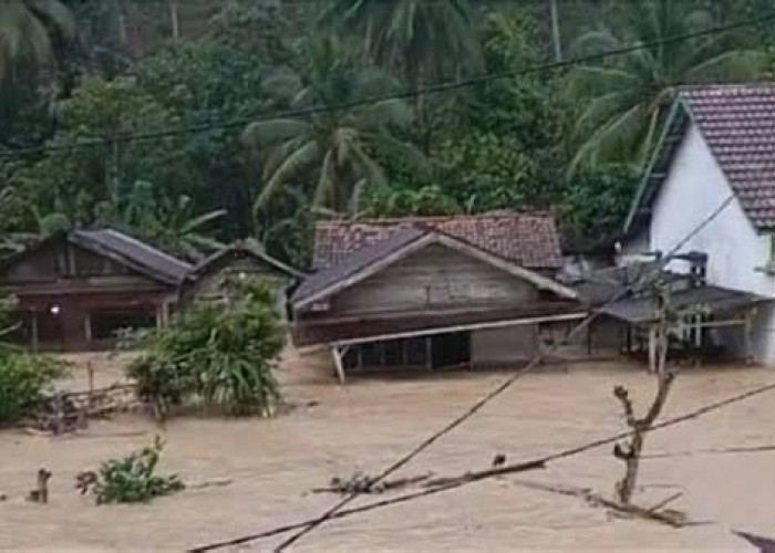 Banjir Bandang Rendam Suoh, Lampung Barat: Lima Rumah Hanyut dan Puluhan Warga Mengungsi