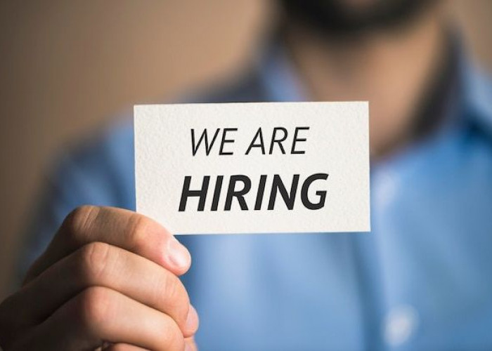 Posisi Sales dan Operasional Jadi Primadona di Magang Nasional Kemnaker 2025