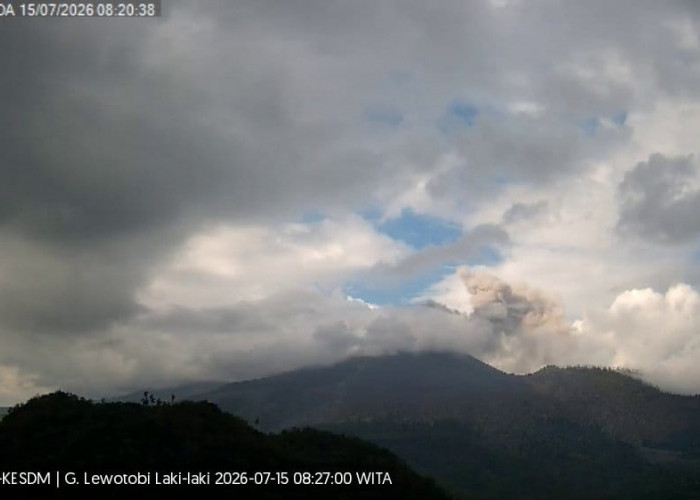 Gunung Lewotobi Laki-Laki Kembali Erupsi, Kolom Abu Mencapai 400 Meter