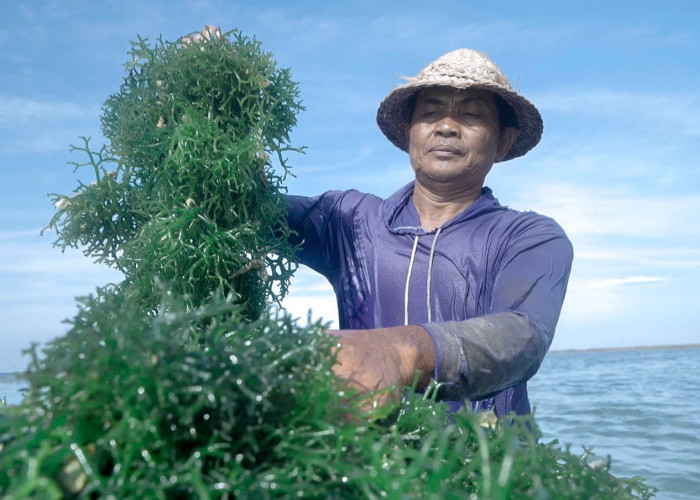 5 Komitmen Nyata BRI Dorong Peningkatan Kualitas dan Daya Saing UMKM