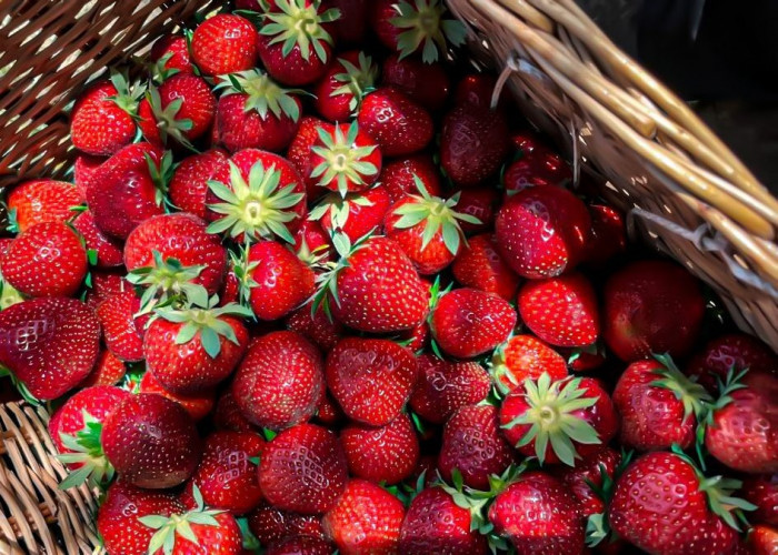 Kulit dan Rambut Bermasalah? Strawberry Bisa Jadi Pilihan Perawatan