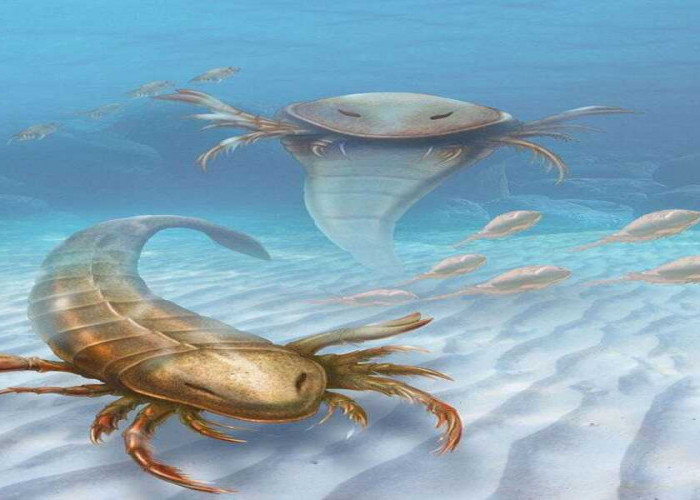 Mengenal Eurypterid: Kalajengking Laut Raksasa Penguasa Samudra