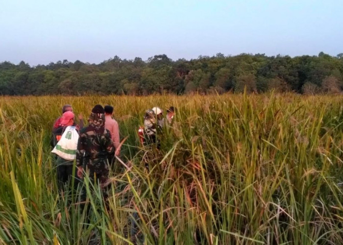 Karhutla TN Way Kambas Kembali Muncul, Titik Api Baru Ditemukan di Braja Selebah