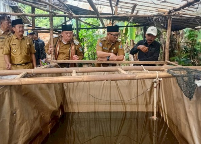 Gubernur Mirza Tinjau Penerapan PHC di Lampung Timur, Petani Akui Hasil Panen Singkong dan Sawit Meningkat