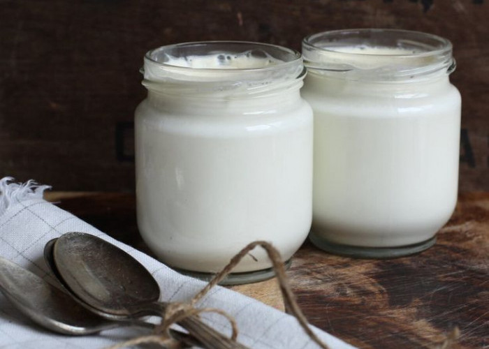 Tertarik Bikin Yogurt Sendiri? Ini Cara Mudah Membuat Yogurt yang Anti Gagal