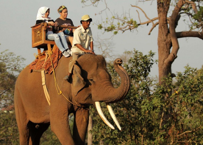 Libur Lebaran 2024 : Sensasi Naik Gajah Tunggang Jadi Favorit Pengunjung Lembah Hijau