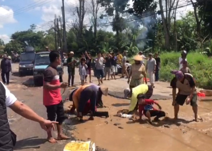 HUT Lampung Timur Ke-25 : Pejabat Potong Tumpeng, Warga Tebar Ikan Lele Di Jalan Berlobang