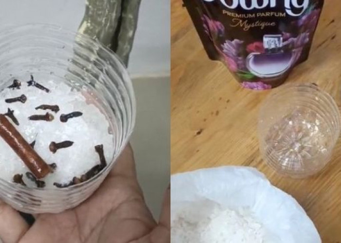 Rumah Auto Wangi Mewah! Ini Trik Pengharum Ruangan Alami Pakai Bahan Dapur