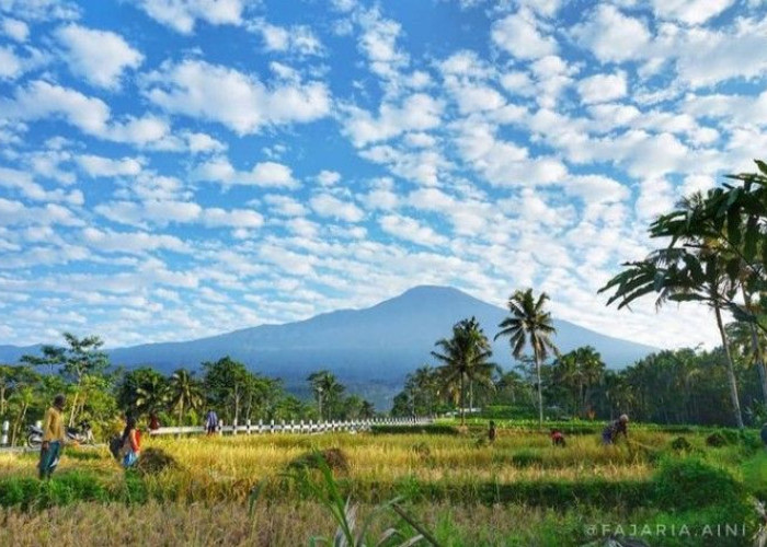 Intip Pesona 'The Hidden Paradise' Tanggamus yang Mendunia di 2026, Ternyata Bukan Hanya Teluk Kiluan