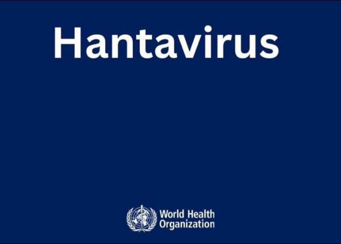 WHO Sebut Wabah Hantavirus Mulai Terkendali, Total Kasus Tetap 13 dengan Tiga Kematian