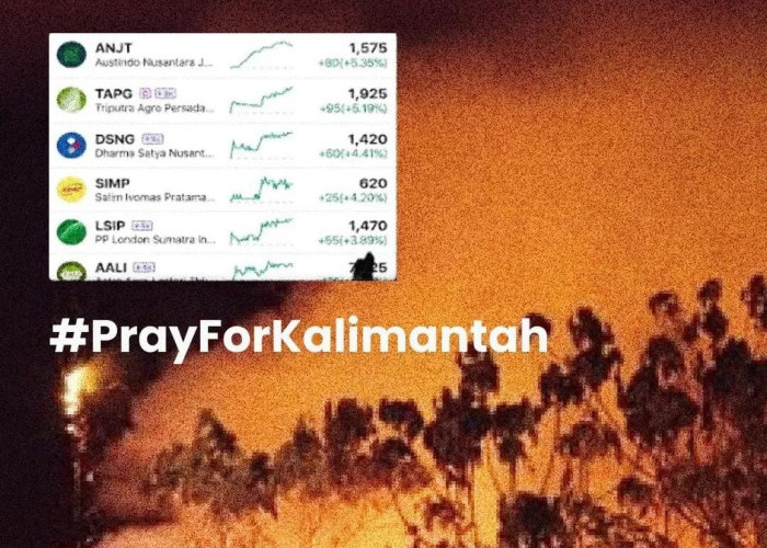 Kebakaran Hutan Meluas di Kalimantan, Saham Perusahaan Sawit Malah Naik