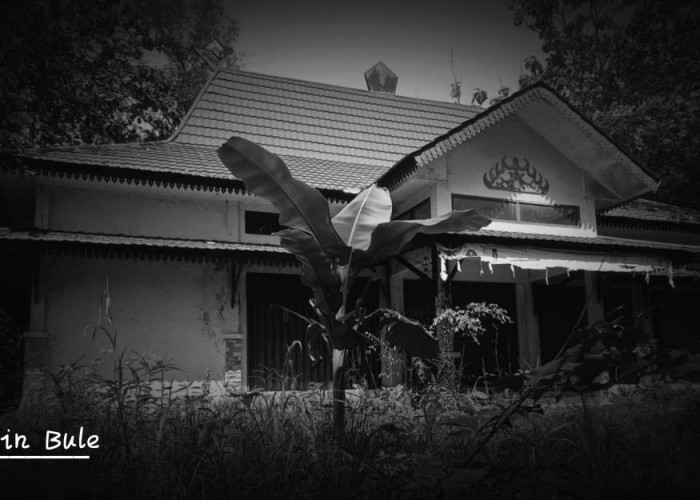Misteri Gedung Tua di Kompleks Pemkab Lampung Timur: Kumuh, Terbengkalai, hingga Kisah Ghaib Dibaliknya