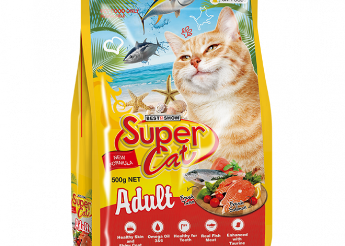 6 Makanan Kucing Murah tapi Bernutrisi, mulai Rp5 Ribuan! Bikin Sehat, Gemuk, dan Bulu Lebat