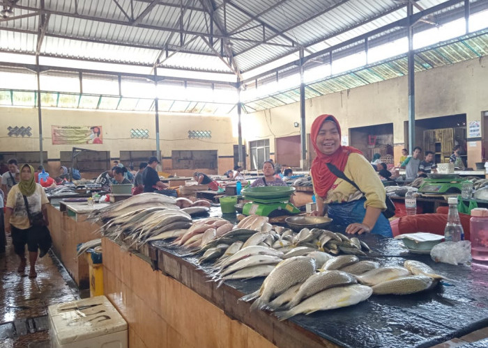 Harga Ikan Segar Stabil, Penjual Akui Sepi Pembeli di Pasar Gudang Lelang