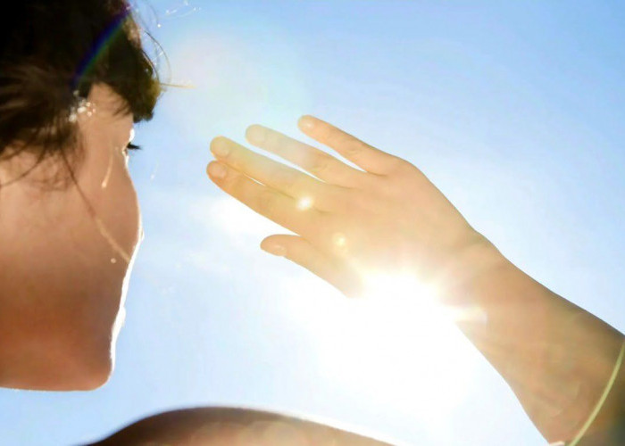 Paparan Sinar Matahari Pagi 5 Menit Saja Bisa Tingkatkan Mood dan Produktivitas Sepanjang Hari  RADARTVNEWS.CO