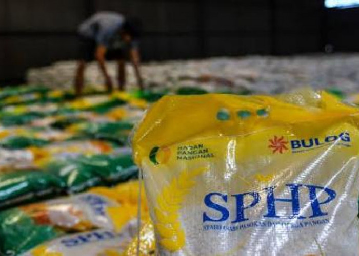 Bulog Lampung Perketat Jalur Distribusi untuk Cegah Beras Oplosan SPHP