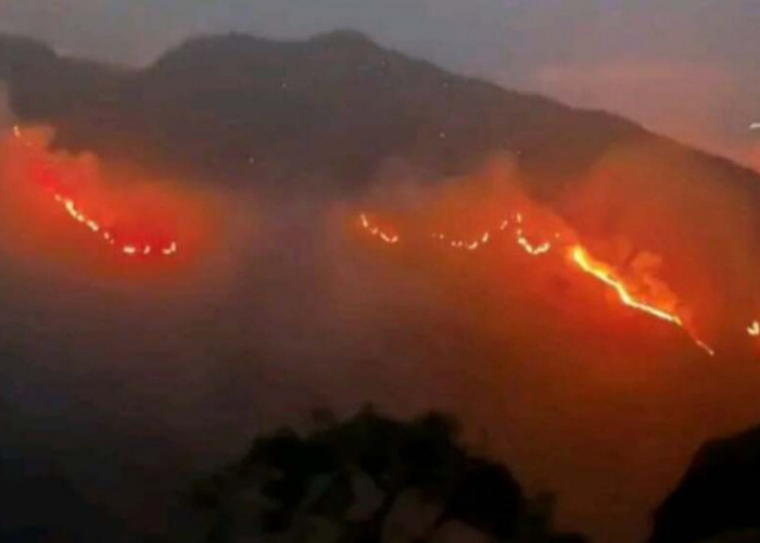Kebakaran Gunung Rinjani Meluas Hingga 589 Hektare