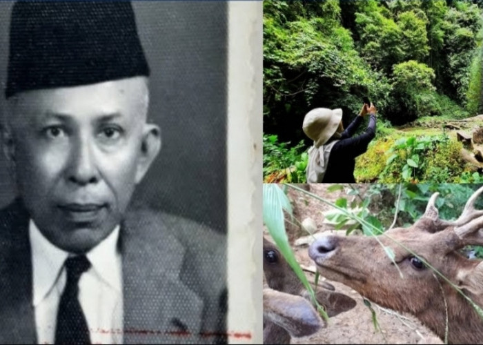 Wan Abdul Rachman, Pejuang Lampung di Balik Nama Tahura