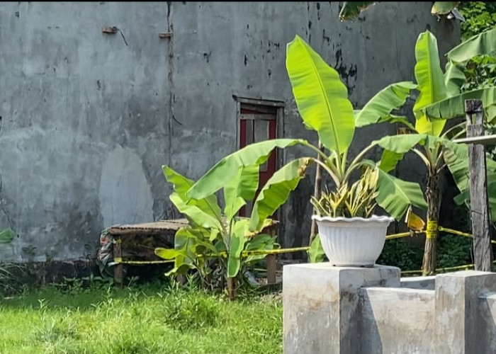 Diduga Terlibat Kasus Aborsi, Pegawai Pemkot Bandarlampung Serahkan Diri ke Polisi