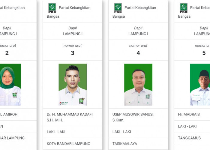 Ini Dia Caleg DPR RI PKB Lampung Pemilu 2024 : Bidik 3 Kursi, Adu Kuat Ela dan Kadafi Dapil Lampung 1 